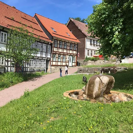Domek alpejski Blockhaus Harzblick4c