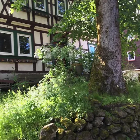 Blockhaus Harzblick4c Domek alpejski Braunlage